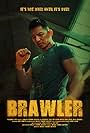 Brawler: Z