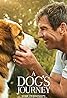 A Dog's Journey (2019) Poster