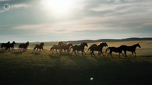 Nature: Equus Story Of The Horse