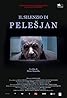 The Silence of Pelesjan (2011) Poster