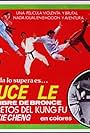 Bruce's Secret Kung Fu (1988)