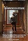 Suspicious Stone (2019)