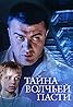 Tayna volchey pasti (2004) Poster