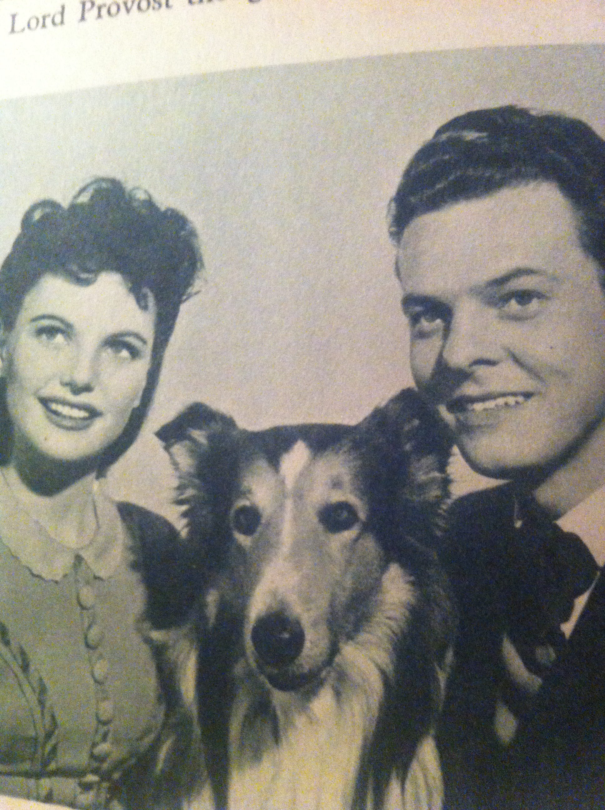 Geraldine Brooks, Ross Ford, and Pal in Challenge to Lassie (1949)