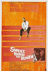 Primary photo for Sweet Bird of Youth