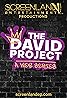 The David Project (TV Series 2022– ) Poster