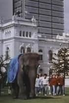 Un elefante en banda (1990)