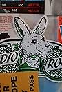 Radio Roo (1991)