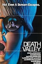 Death Valley (1982) Poster