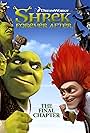 Shrek Forever After: The Game (2010)