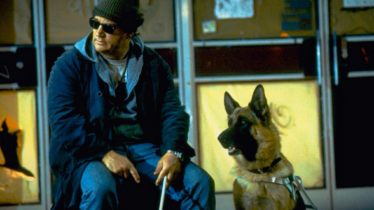 Jim Belushi in K-9: P.I. (2002)