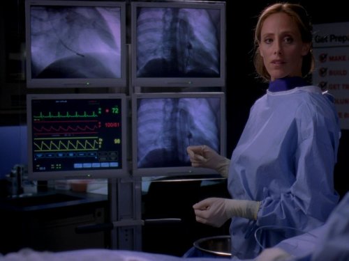 Kim Raver in Grey's Anatomy (2005)