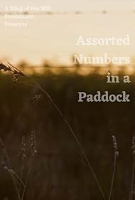 Assorted Numbers in a Paddock (2021)