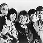 Buffalo Springfield