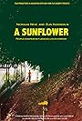 A Sunflower (2012)