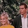 Dean Jones and Yvette Mimieux in Monkeys, Go Home! (1967)