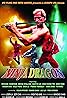 Ninja Dragon (1986) Poster