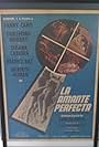 La amante perfecta (1970)