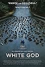 White God