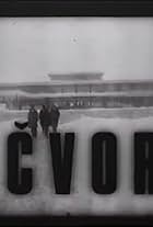 Cvor (1969)