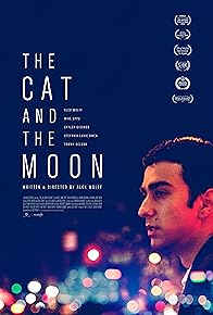 Primary photo for The Cat and the Moon