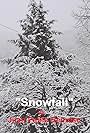 Snowfall (2009)