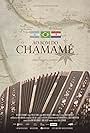 Ao Som do Chamamé (2015)