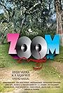 Zoom (2016)