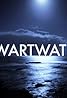 Swartwater (TV Series 2014– ) Poster