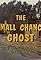 The Small Chance Ghost's primary photo