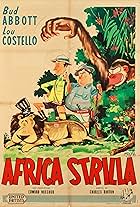 Africa strilla