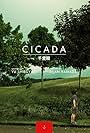 Cicada (2014)