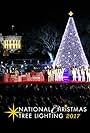 The National Christmas Tree Lighting (2017)