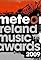 The 9th Meteor Ireland Music Awards's primary photo