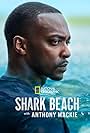 Anthony Mackie in Shark Beach with Anthony Mackie (2024)