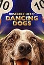 The Secret Life of Dancing Dogs (2023)