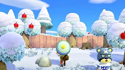 Animal Crossing: New Horizons: Exploring January