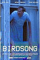 Birdsong