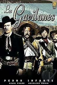 Primary photo for Los gavilanes