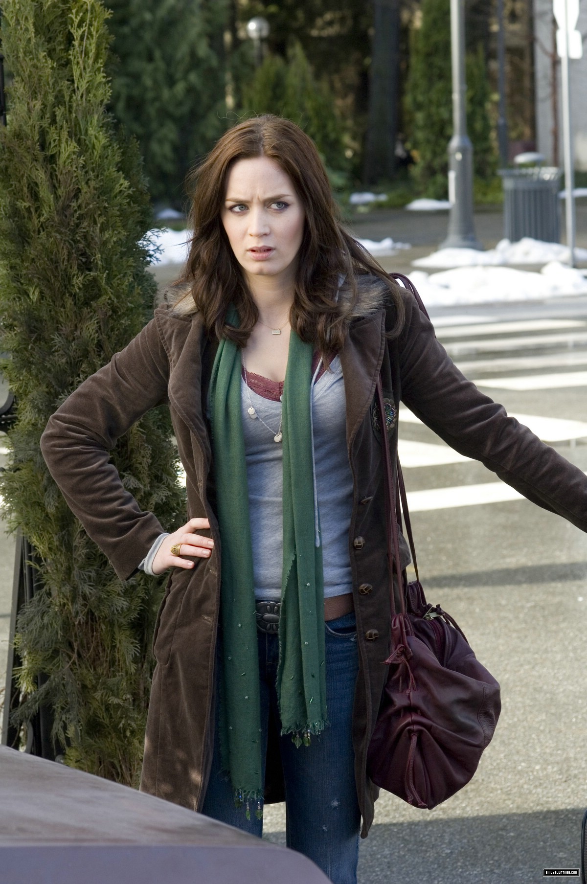 Emily Blunt in Wind Chill (2007)