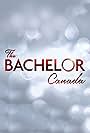 The Bachelor Canada (2012)