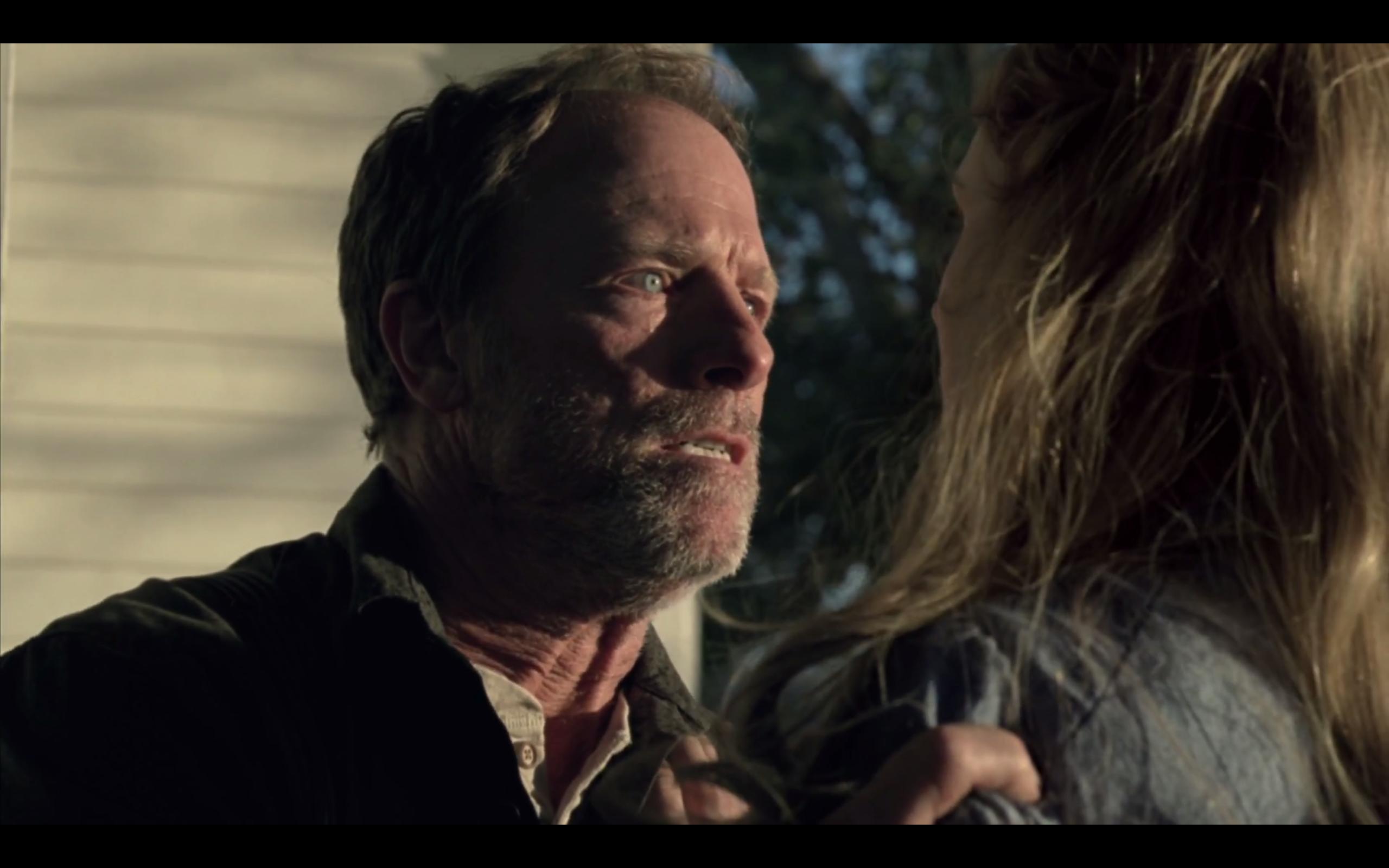 Louis Herthum in Westworld