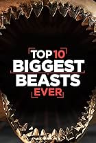 Top 10 Biggest Beasts Ever