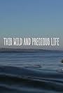 This wild precious life (2017)