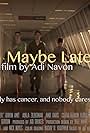 Maybe Later (2012)