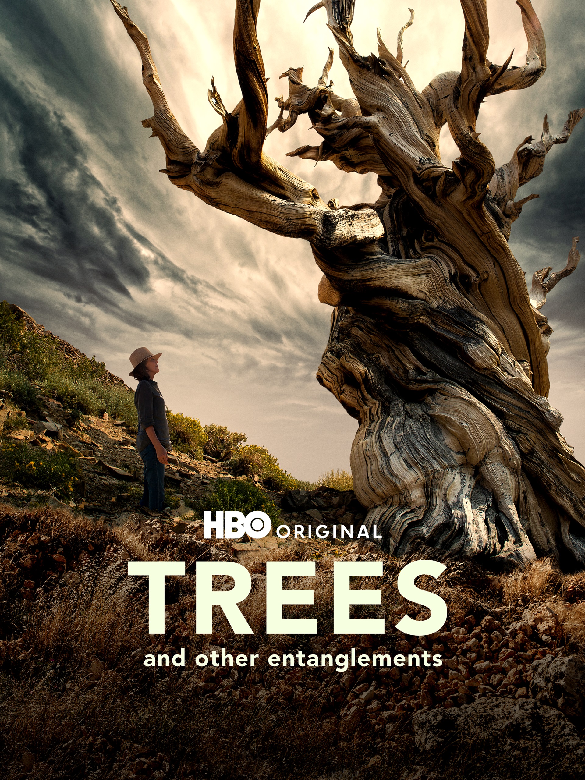 Beth Moon in Trees, and Other Entanglements (2023)