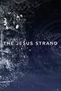 The Jesus Strand: A Search for DNA (2017)