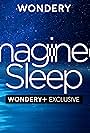 Imagined Sleep (2020)