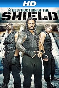 Primary photo for Journey to SummerSlam: The Destruction of the Shield