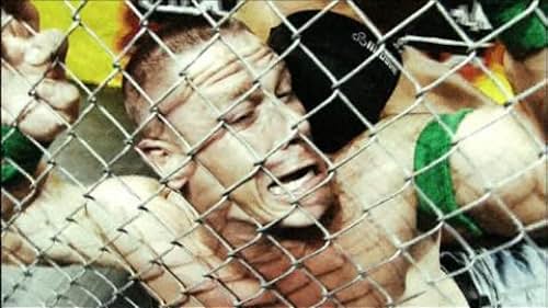 WWE: Hell in a Cell: 2013